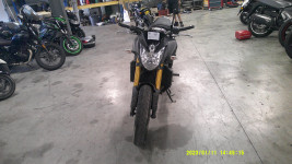 YAMAHA FZ8 ACCIDENTE RSV N°22288